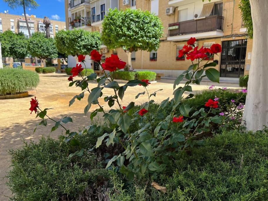 Triana Family Suites Sevilla Dış mekan fotoğraf