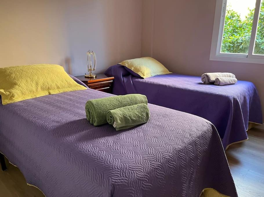 Triana Family Suites Sevilla Dış mekan fotoğraf